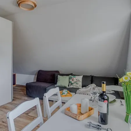 Blisko Wszedzie - W Centrum - Apartzakop 3* Ζακοπάνε